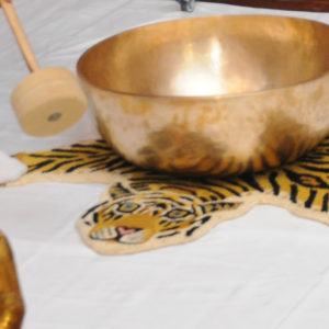 Energy Meridians Healing Set